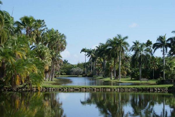 Coral Gables: Fairchild Tropical Botanical Garden