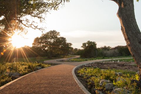 Austin: The Mollie Steves Zachry Texas Arboretum