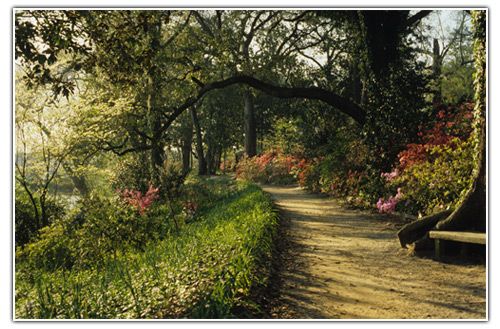 Charleston: Magnolia Plantation and Its Gardens