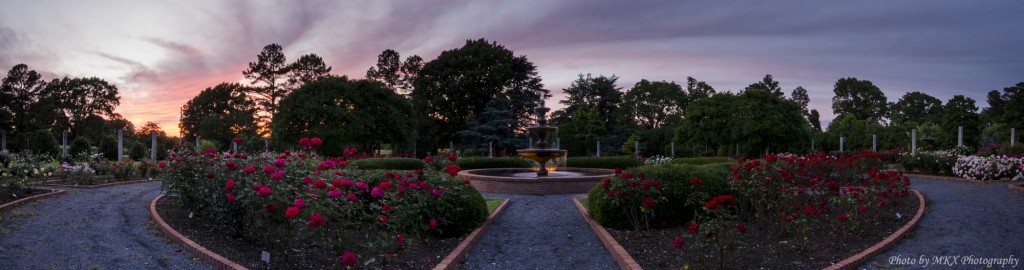 mbg-rose_garden_dusk_panorama_cropped_2000x528